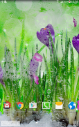 Spring Flower Live Wallpaper screenshot 6