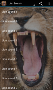 Lion Sounds screenshot 0