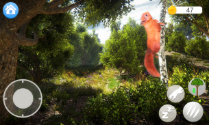 Talking Squirrel screenshot 1