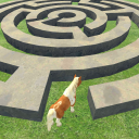 Pony Horse Maze Run Challenge - Free Pony Games