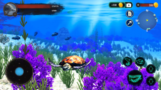 The Turtle screenshot 12