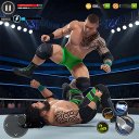 Wrestling Ring Fighting Games