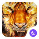 Flamme Cool Tiger - APUS Launcher-Freies Thema