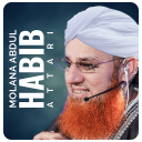 Maulana Abdul Habib Attari Icon