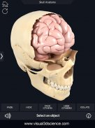 Skull Anatomy Pro. screenshot 14