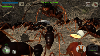 Ant Simulation 3D screenshot 6