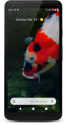 Japanese Koi Fish Wallpaper screenshot 2