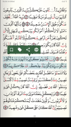 Quran - Qaloon screenshot 4