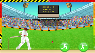 Cricket - Defend the Wicket screenshot 2