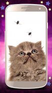 Cute cats live wallpaper screenshot 1