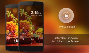 PIN Locker screenshot 3