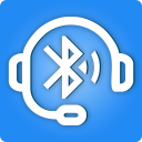 Bluetooth Streamer Pro: Stream