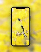 Yellow Wallpapers HD screenshot 1