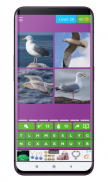 Birds Quiz Game screenshot 5