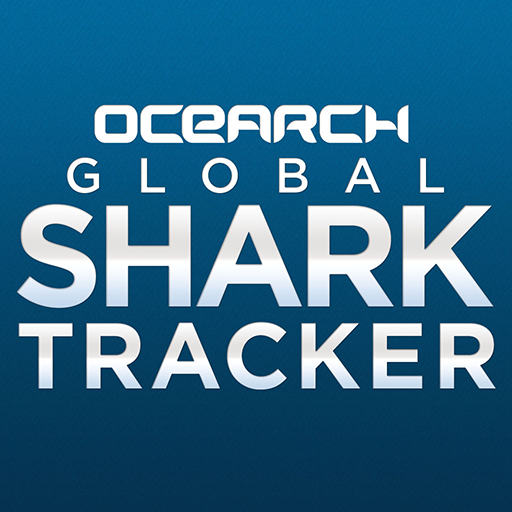 Global track. Shark Tracker. Трекер акул.