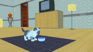 Cat & Maid 2 -Virtual Cat Game screenshot 3