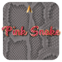 Apolo Pink Snake - Theme, Icon pack, Wallpaper Icon