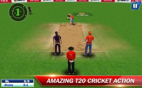 Gujarat Lions 2017 T20 Cricket screenshot 7