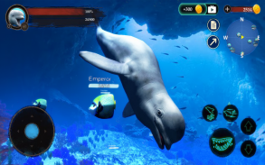 The Beluga Whale screenshot 12