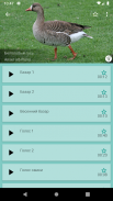 Прогрессивный Гусиный манок screenshot 1