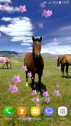 Horses Live Wallpapers screenshot 3