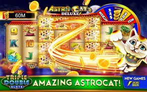 Triple Double Slots - Free Slots Casino Slot Games screenshot 6