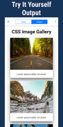 Learn CSS screenshot 9