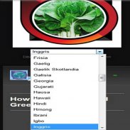 how to grow mustard greens screenshot 6