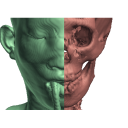 CT Scan Viewer 3D Icon
