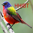 Hilton Head Is. Birding Trail