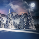 Christmas Snowfall Live Wallpaper FREE