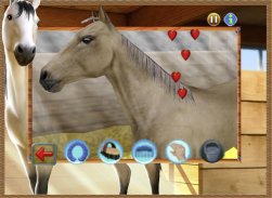 Western Horse: Querido Caballo screenshot 14