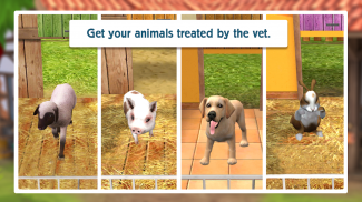 Pet World - My animal shelter screenshot 6
