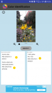 Color Identification screenshot 13
