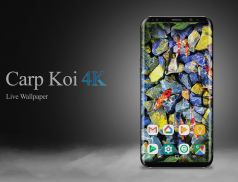 Carp Koi fish live wallpaper 4K resolution free screenshot 0