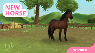 Star Stable Horses screenshot 6