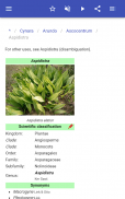 Perennial herbs screenshot 8