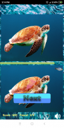 Find the differences: Sea Creatures screenshot 6