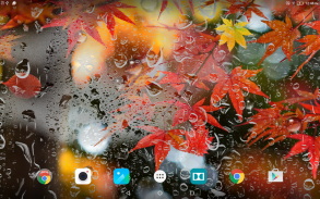 Autumn Live Wallpaper HD screenshot 8