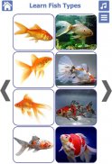 Fish Types | Goldfish Saltwate screenshot 9