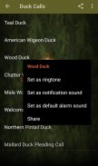 Duck Hunting Calls screenshot 5