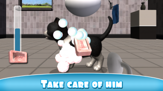 Daily Kitten virtuale gatto screenshot 1