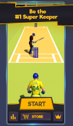 Super Keeper Cricket Challenge screenshot 14