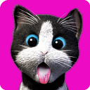 Daily Kitten virtuelle Katze Icon