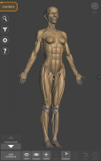 Anatomia per l'Artista 3D screenshot 11