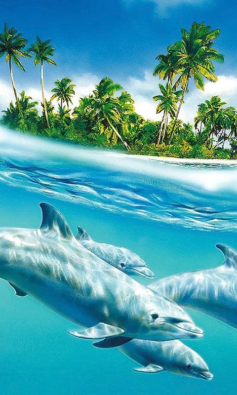 Miami Dolphins wallpaper by Scroggins - Download on ZEDGE™