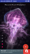 Jellyfish 3d Music Relaxation screenshot 5