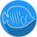 AQUAStore - Online Aquarium and Pet Shop