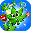 Blast Match 3 Flowers Blossom in Garden Weed Game Icon
