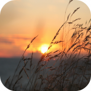 Sunrise Wallpapers screenshot 2